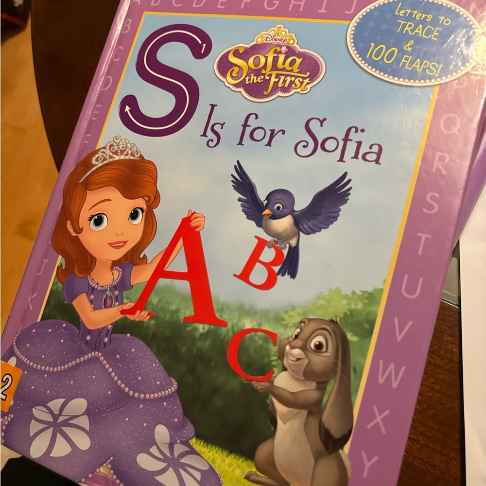 Storybook and Magnetic Playset